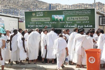 kiosque-hady-sacrifice-mouton-hajj